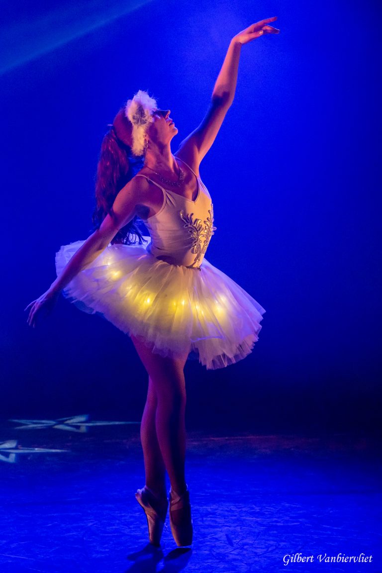 Voyage en accordéon - 22 novembre 2025 - 5J3A6624