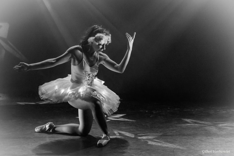 Voyage en accordéon - 22 novembre 2025 - 5J3A6629