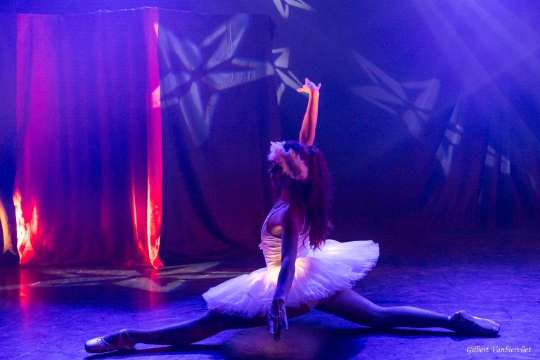 Voyage en accordéon - 22 novembre 2025 - 5J3A6639