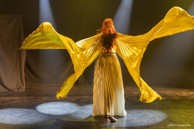 Voyage en accordéon - 22 novembre 2025 - 5J3A6766