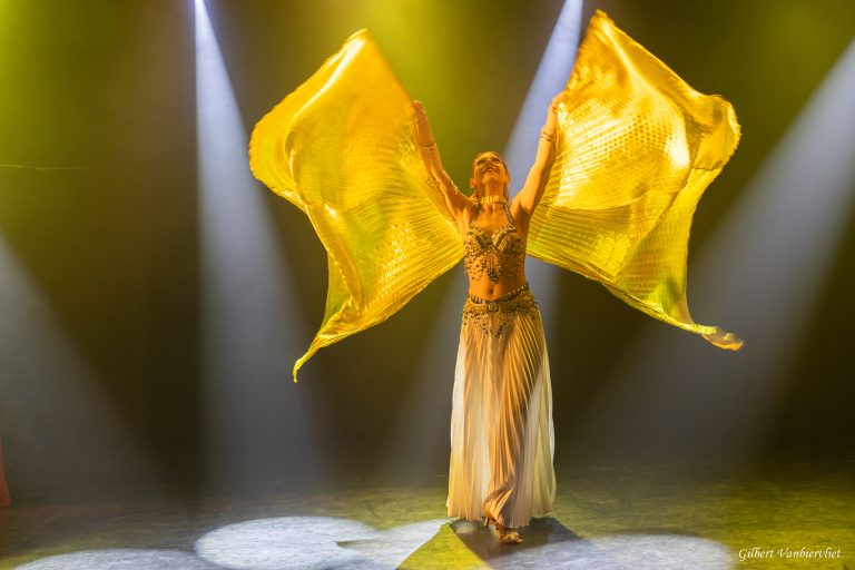 Voyage en accordéon - 22 novembre 2025 - 5J3A6770