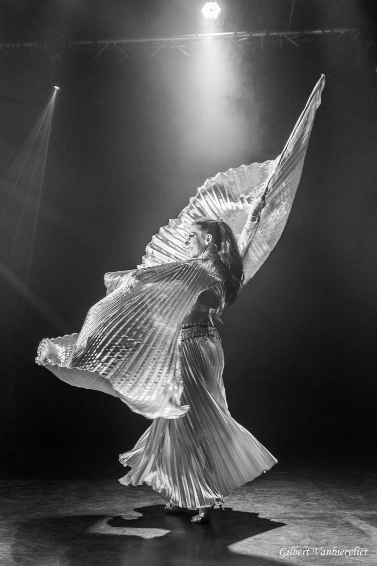 Voyage en accordéon - 22 novembre 2025 - 5J3A6782